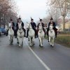 blagoslov-konja2017 (2)